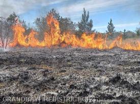 Brush Fires
